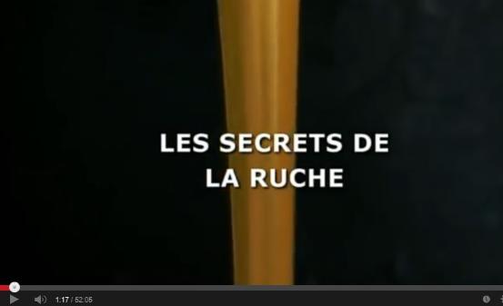 thumbnail - Les secrets de la ruche